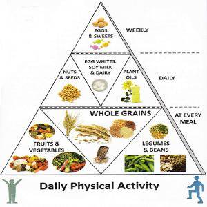 Daily-Physical-Activity
