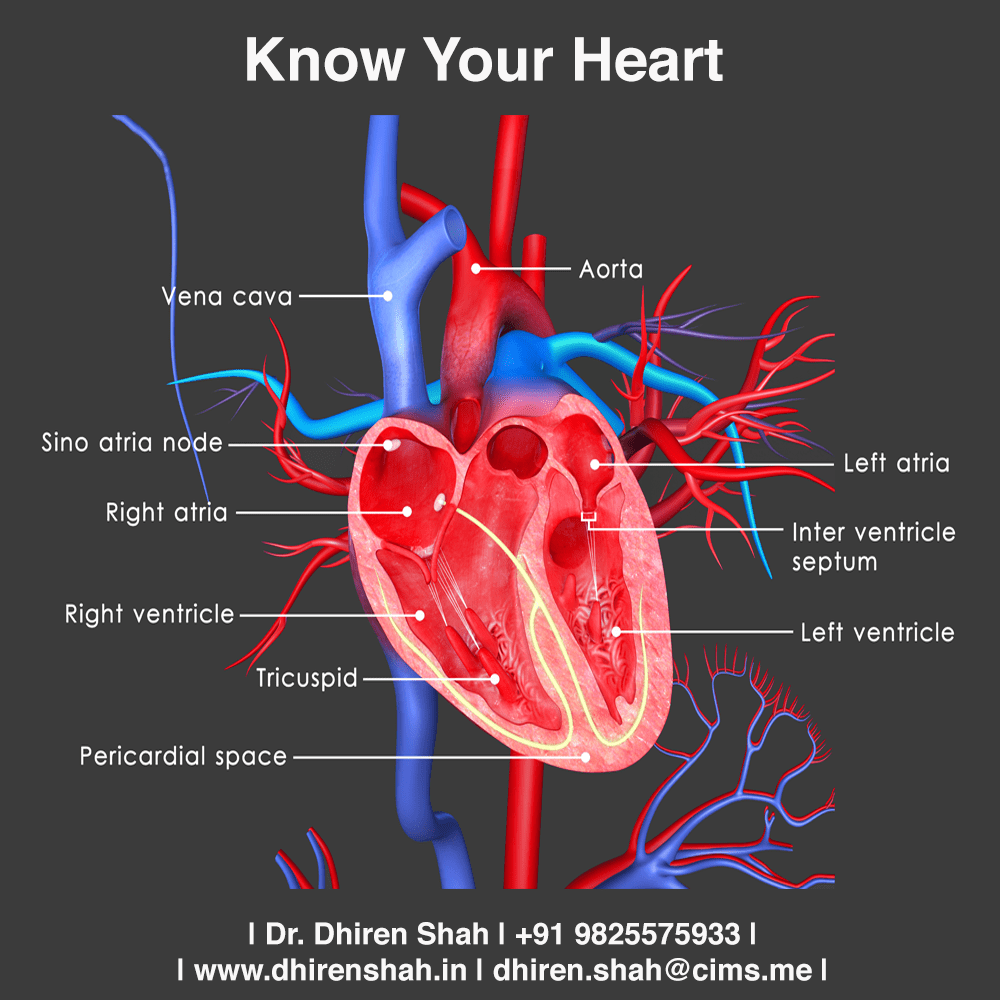 Know your Heart