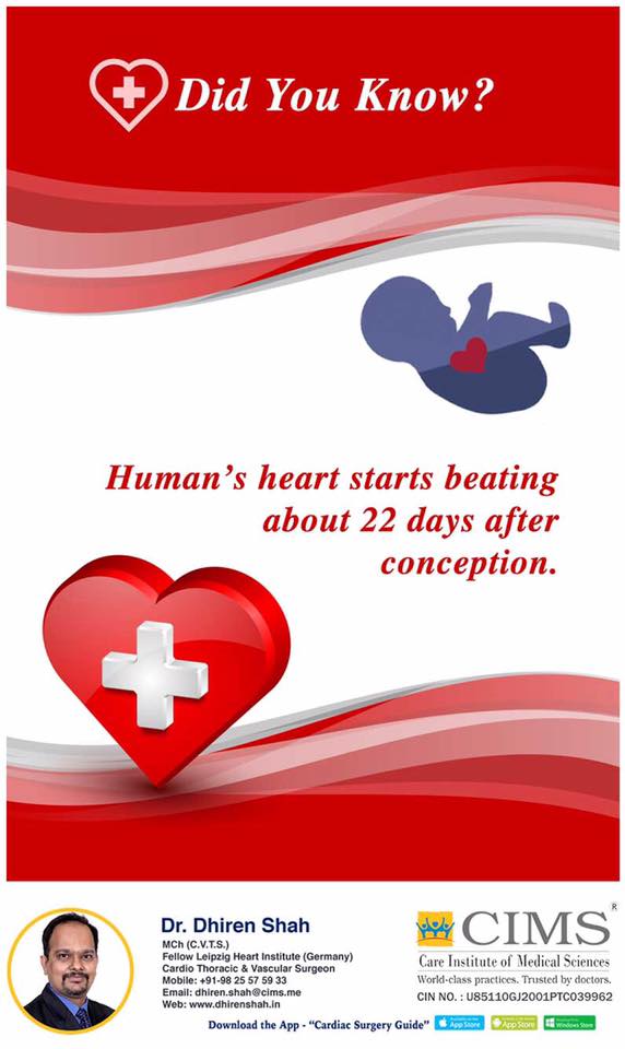 Human Heart Starts Beating