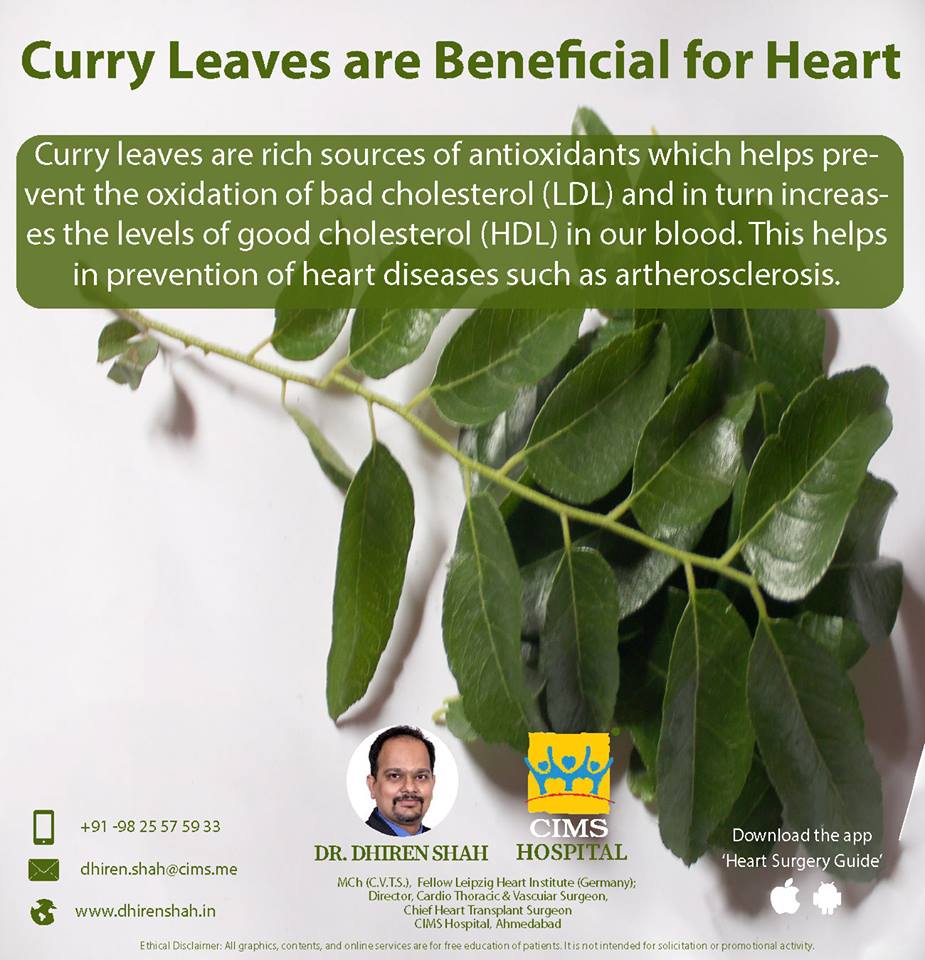 Curry leaves are beneficial for your heart, here's how!