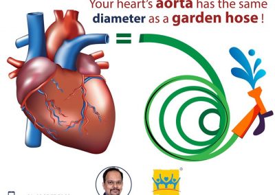 Did you know about this interesting heart fact?