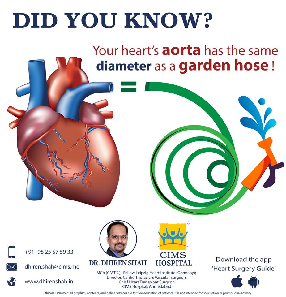 Did you know about this interesting heart fact?